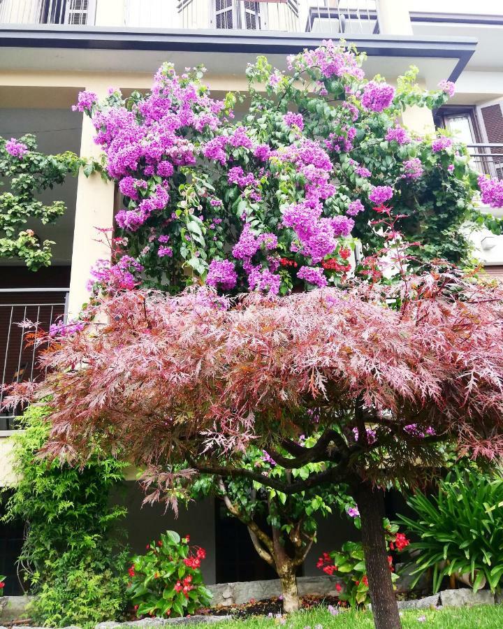 Hotel Fioroni Bellagio Bagian luar foto